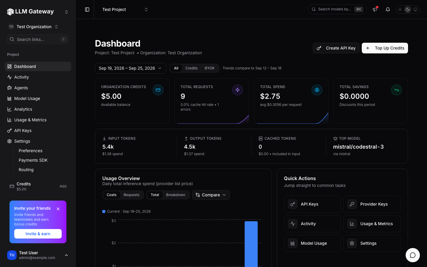 Vichar dashboard with credits, requests, spend, tokens, and usage overview