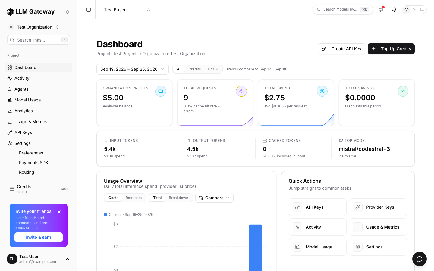 Vichar dashboard with credits, requests, spend, tokens, and usage overview